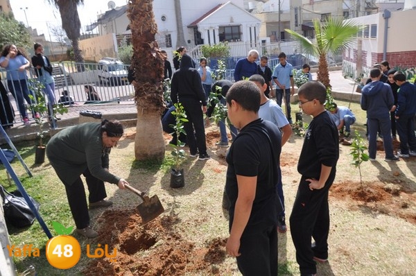 trees shamela 0321 (23).JPG